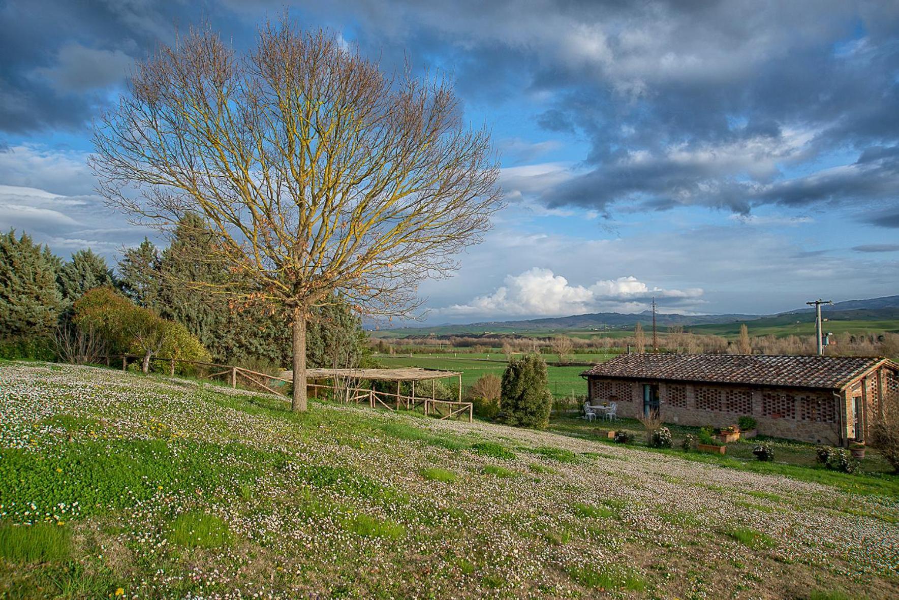 Agriturismo Le Sorbelle D'Orcia Con Piscina ปีเอนซา ภายนอก รูปภาพ