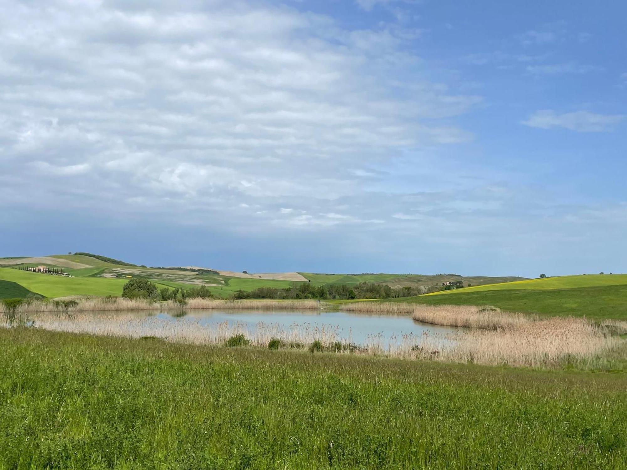 Agriturismo Le Sorbelle D'Orcia Con Piscina ปีเอนซา ภายนอก รูปภาพ